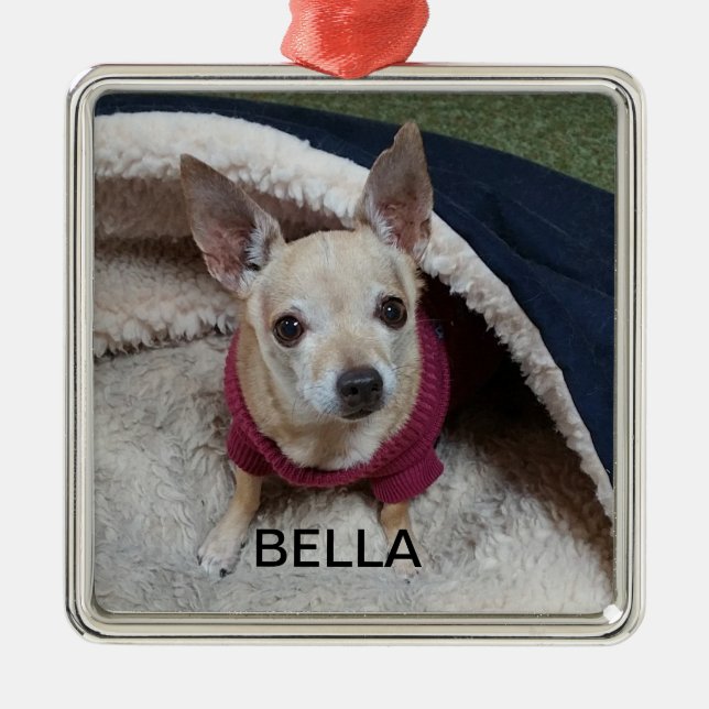 CHIHUAHUA KEEPSAKE METAL TREE DECORATION (Front)
