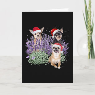 Chihuahua Lavender Flower Christmas Shirt Chihuahu Card