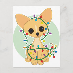 Chihuahua Lights Postcard