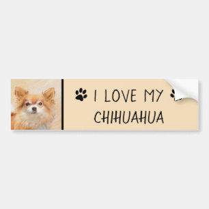 Chihuahua Long-Haired Dog Painting Original Art Bumper Sticker