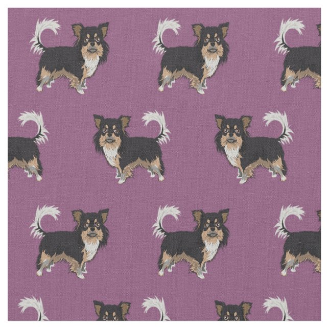 Chihuahua longhaired tricolored dog purple fabric (Close Up)