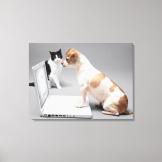 Chihuahua looking into the screen of a laptop canvas print