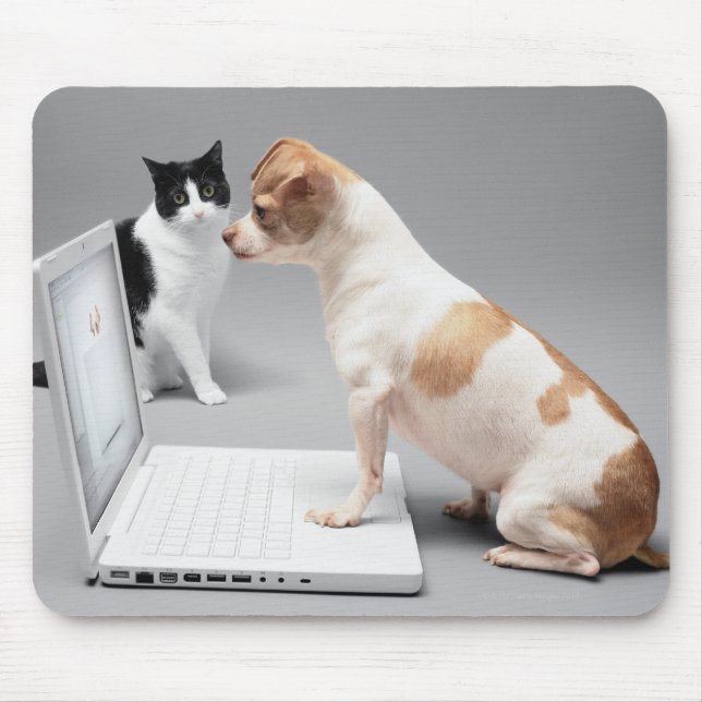 Chihuahua looking into the screen of a laptop mouse pad (Front)