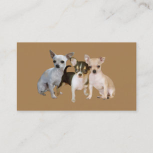Chihuahua Lover Business Card