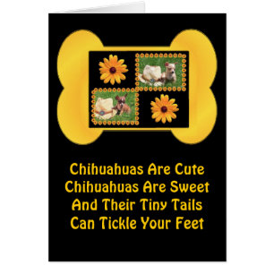 Chihuahua Lover Delight