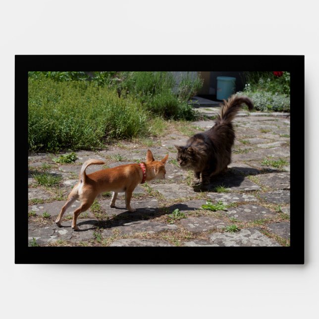 Chihuahua Meets Cat Envelopes (Front)