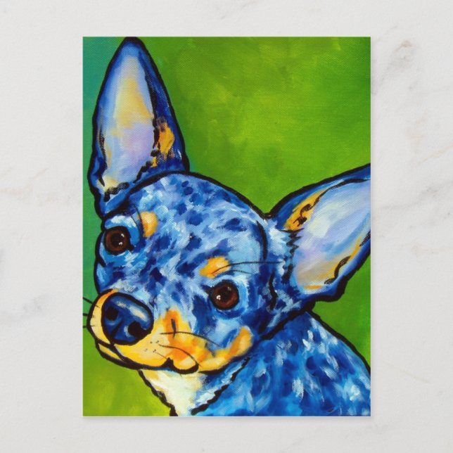 Chihuahua Merle 2 Postcard (Front)