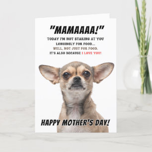 Chihuahua Mother's Day greeting card
