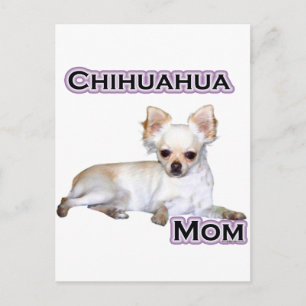 Chihuahua Mum 4 Postcard
