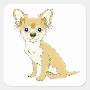 Chihuahua Mum Puppy Dog Dad Puppies Rescue Cartoon Square Sticker