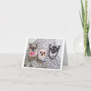 Chihuahua Notecards
