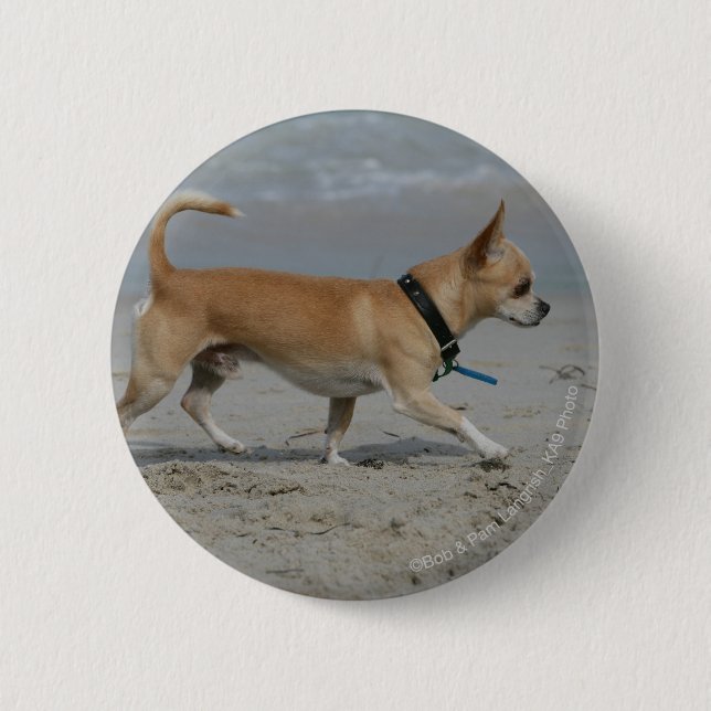 Chihuahua on Beach 6 Cm Round Badge (Front)