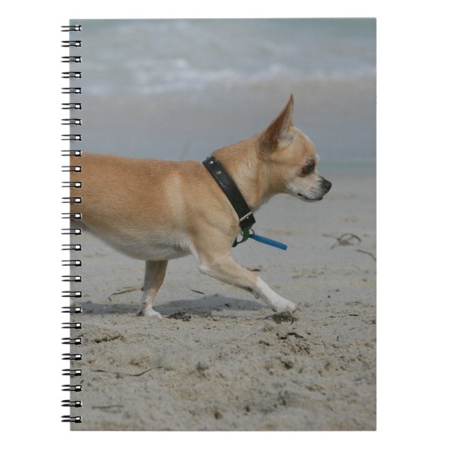 Chihuahua on Beach Spiral Notebook (Front)