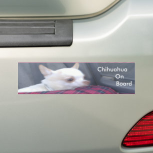 Chihuahua On Board Bumper Sticker