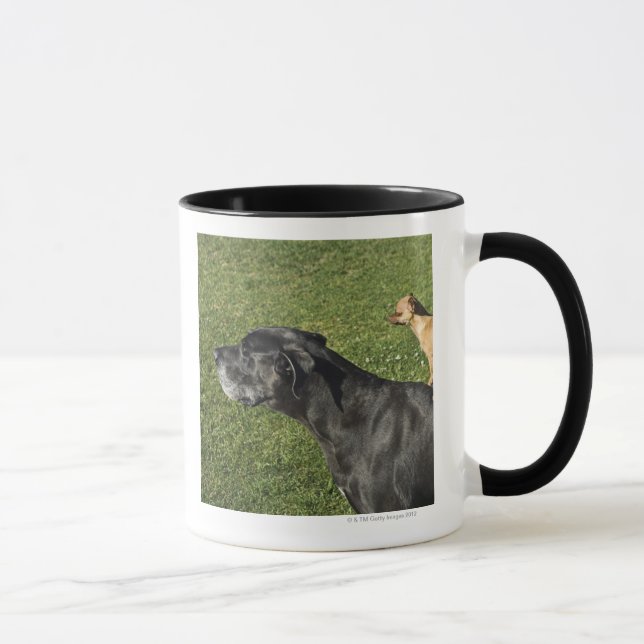 Chihuahua on Great Dane's back 2 Mug (Right)
