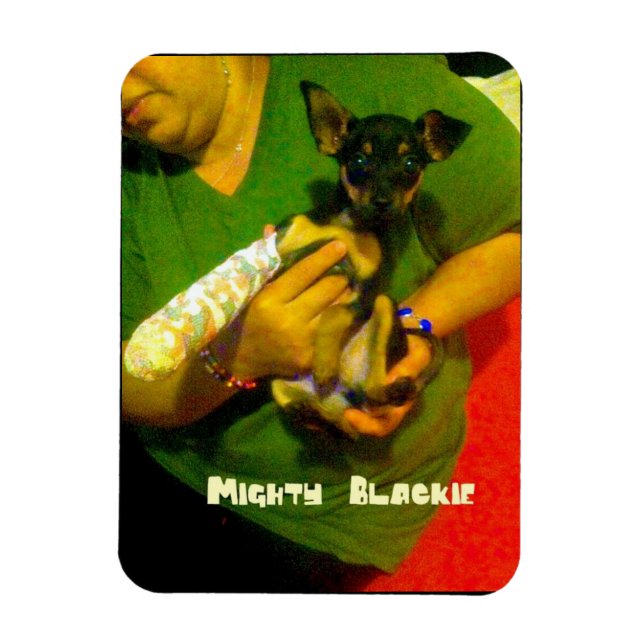 Chihuahua Photo Magnet (Vertical)