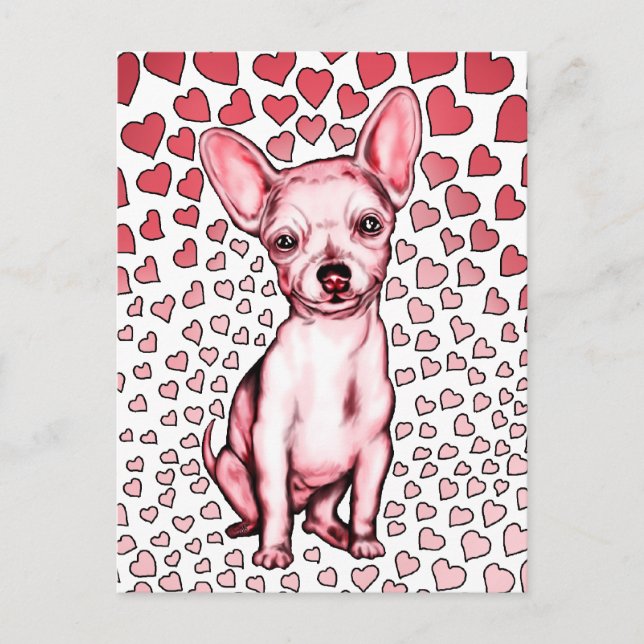 Chihuahua Pink Hearts Valentine's Day Holiday Postcard (Front)