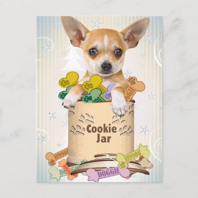 Chihuahua Posed with Cookie Jar Postcard (Front)