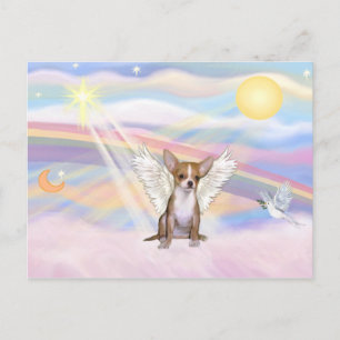 Chihuahua Postcard
