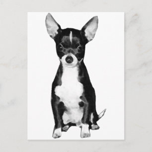 Chihuahua Postcard