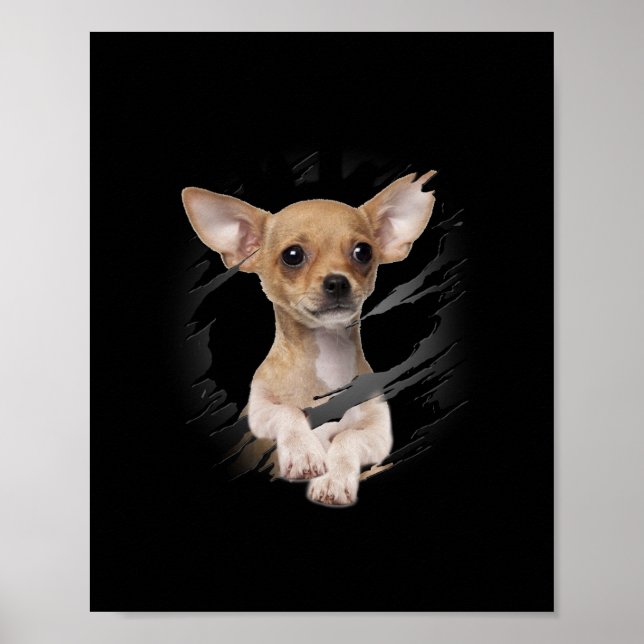 Chihuahua Poster (Front)