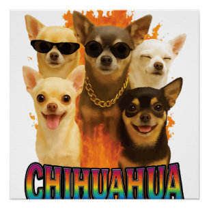 Chihuahua poster