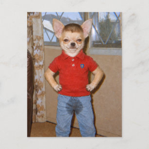 Chihuahua Potty Accident Victory Postcard