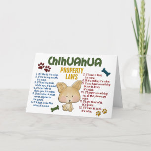 Chihuahua Property Laws 4 Card