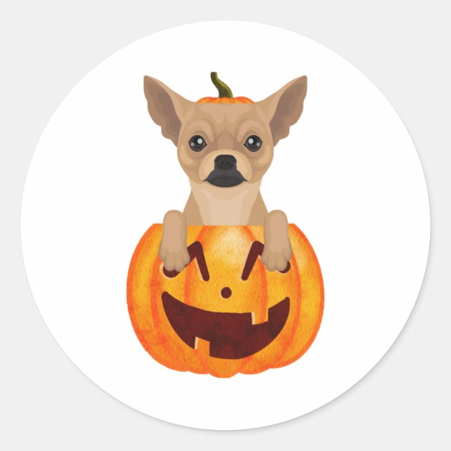 Chihuahua Pumpkin  Classic Round Sticker (Front)