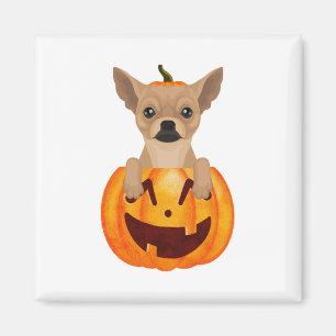 Chihuahua Pumpkin Magnet