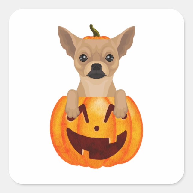 Chihuahua Pumpkin  Square Sticker (Front)