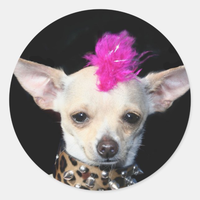 Chihuahua Punk Classic Round Sticker (Front)