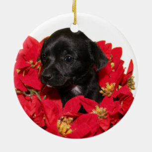 Chihuahua puppy Christmas Ceramic Tree Decoration