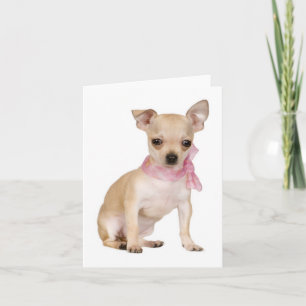 Chihuahua Puppy Dog Blank Note or Greeting Card
