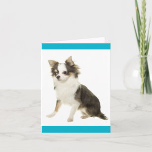 Chihuahua Puppy Dog Blank Notecard