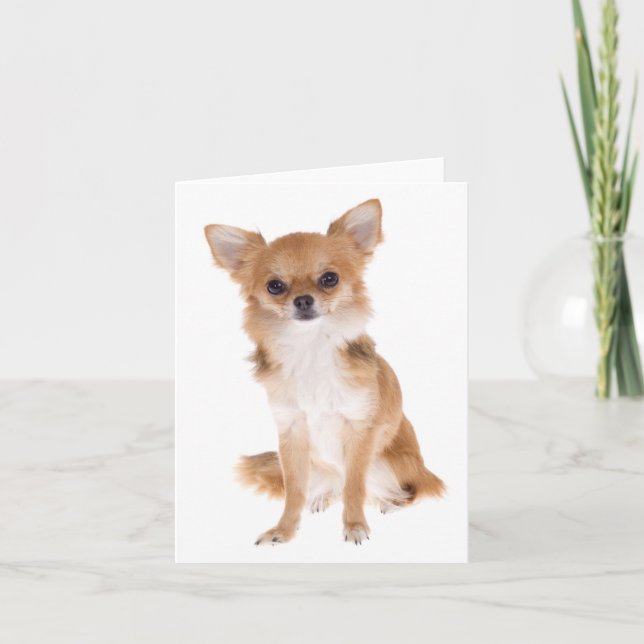 Chihuahua Puppy Dog Blank Notecard (Front)