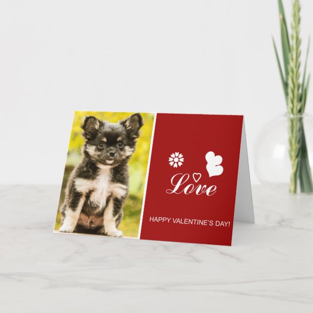 Chihuahua Puppy Dog Happy Valentine's Day Card (Front)
