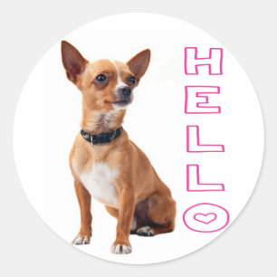 Chihuahua Puppy Dog Hello Stickers / Seals