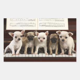 Chihuahua Puppy Dog On Piano ( Chewawa , Chiwawa ) Rectangular Sticker