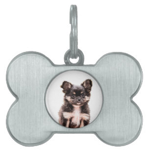 Chihuahua Puppy Dog Pet Tag