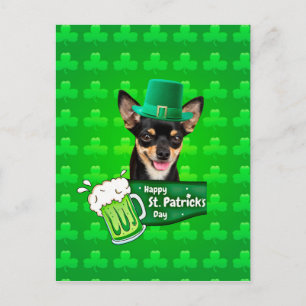 Chihuahua Puppy Dog St. Patrick's Day Green Clover Postcard