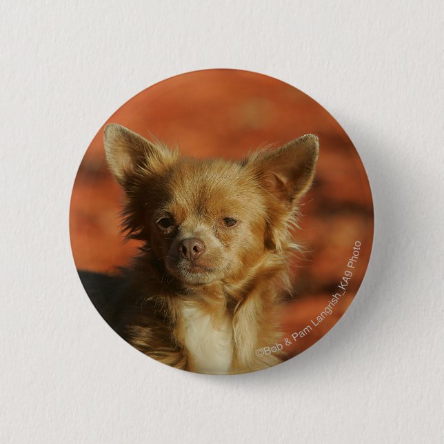 Chihuahua Puppy Headshot 6 Cm Round Badge (Front)
