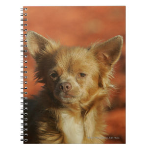 Chihuahua Puppy Headshot Spiral Notebook