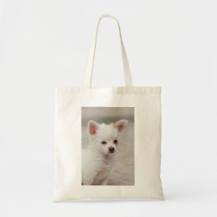 Chihuahua puppy in a garden tote bag