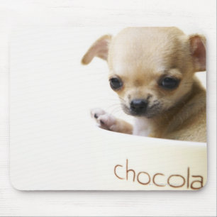 Chihuahua puppy in bowl (cropped) mouse pad
