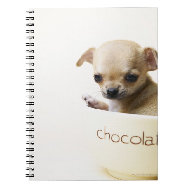 Chihuahua puppy in bowl (cropped) spiral notebook (Front)