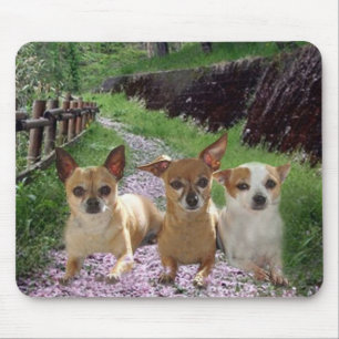 Chihuahua Purple Flowers Mousepad