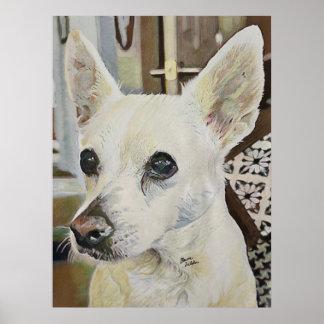 Chihuahua Rat Terrier Poster