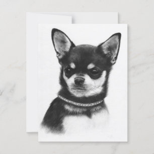 Chihuahua Royalty - Hand Painted Artwork  Postcard