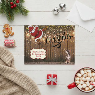 Chihuahua Santa Rustic Christmas Postcard